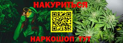 прущие грибы Балашиха