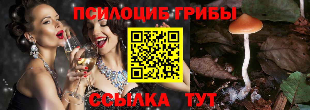 Псилоцибиновые грибы Magic Shrooms Екатеринбург